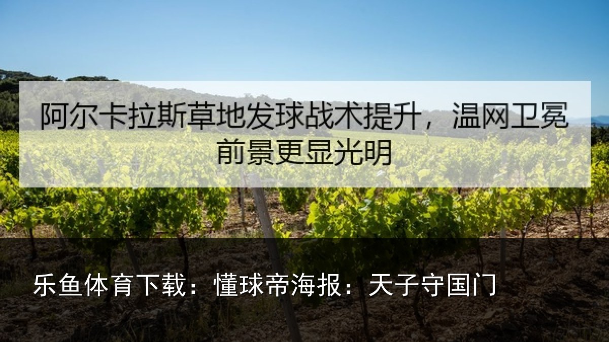 乐鱼体育下载:懂球帝海报:天子守国门