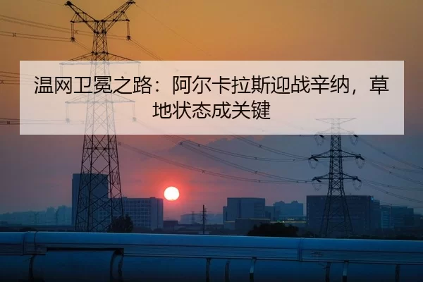 温网卫冕之路：阿尔卡拉斯迎战辛纳，草地状态成关键